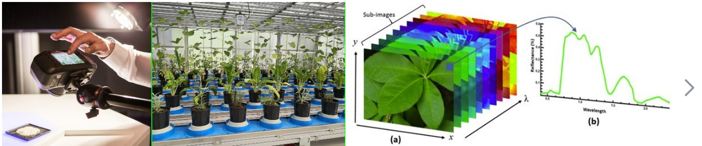 高光譜成像技術(shù)植物監(jiān)測(cè)中的優(yōu)勢(shì)