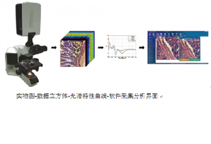 顯微高光譜成像系統(tǒng)工作原理和組成結構